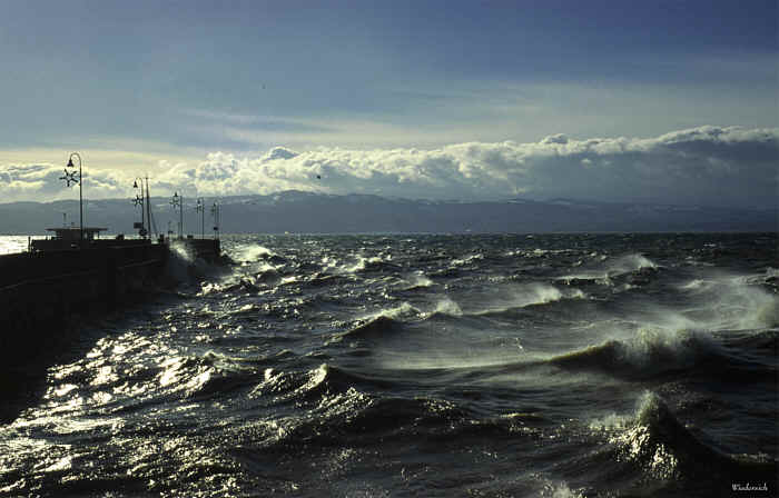 W3foto